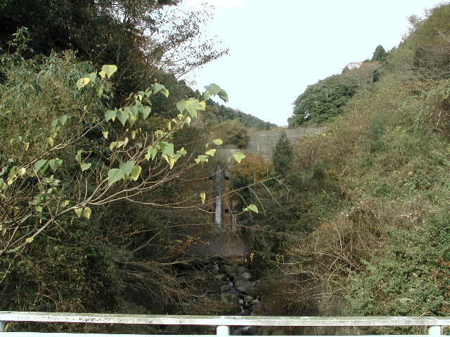 青空の下で木々の間にそびえるダムの写真