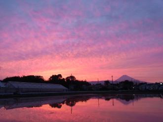 夕日に照らされた富士山が水田に映って逆さ富士となっている写真