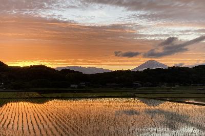 令和8年函南町民カレンダー6月