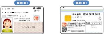 マイナンバーカードの顔写真と住所などが書かれた表面と個人番号が書かれた裏面のサンプル