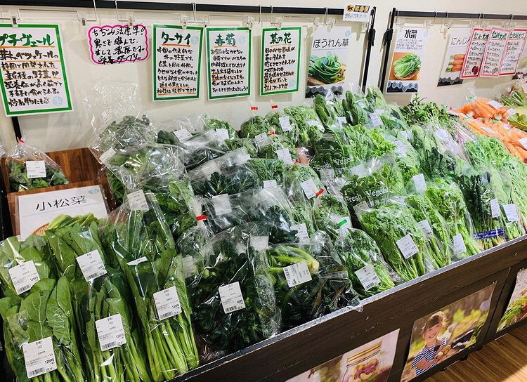 野菜の画像
