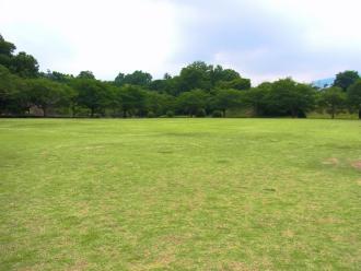 奥に森林が見える芝生の広場の写真