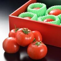 赤い化粧箱の前にディスプレイされたよく熟れた丹那高原トマトの写真