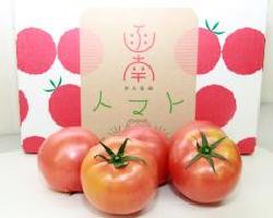 函南ブランドの箱の前にあるトマトの写真