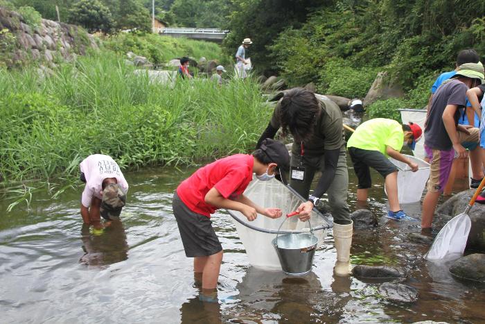 水生生物観察会