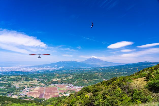 丹那盆地と富士山を背景に二機のハンググライダーが飛んでいる写真