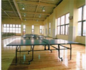 大きな窓から日が差し込んでいる室内に数台の卓球台が並んでいる二階卓球室の写真