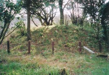 もりあがった地面に大小さまざまな木々や雑草が生い茂っていてそこに入れないように手前に茶色の棒とロープで柵が建てられている写真