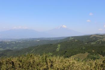 青空のもと、緑萌える山の向こうにそびえる、十国峠から望む富士山の写真