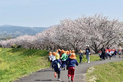 令和8年函南町民カレンダー4月