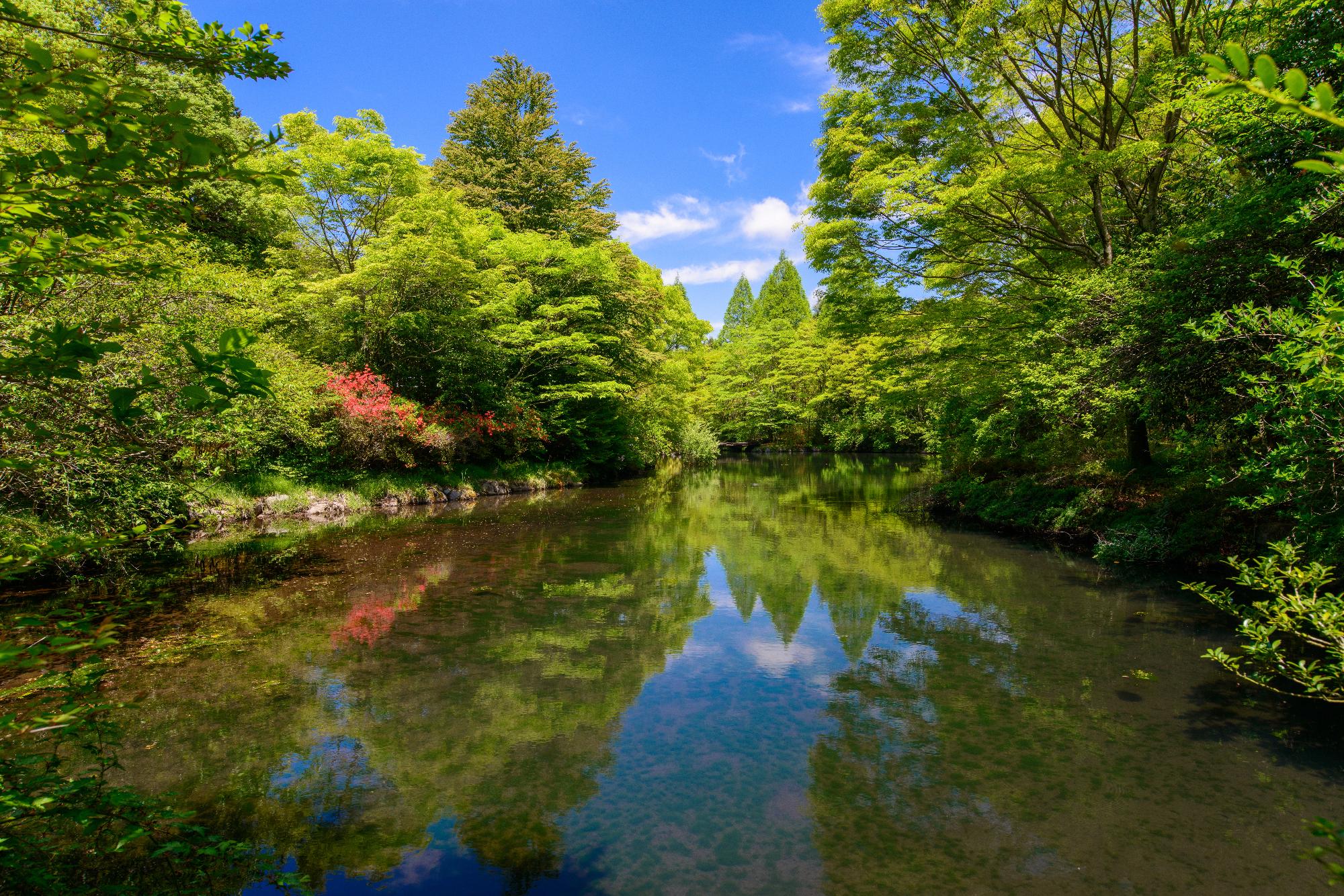 原生の森公園の画像