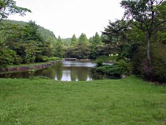 芝生の向こうに木に囲まれた池がある写真